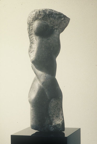 photography by Wendy Hendelman