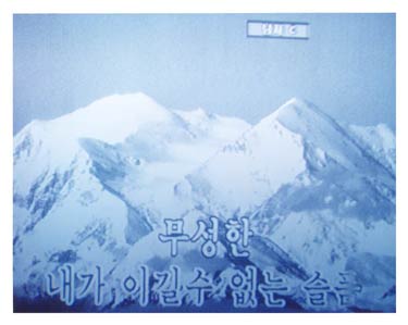 photography by Eunsuk Joo