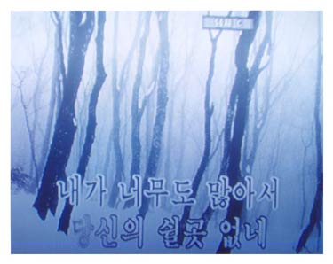 photography by Eunsuk Joo