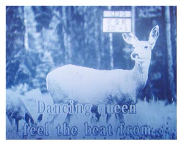 photography by Eunsuk Joo