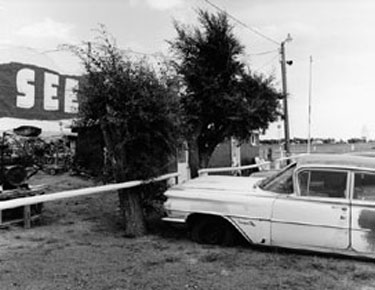 photography by Lewis Koch