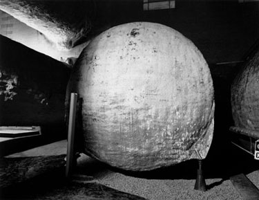 photography by Lewis Koch