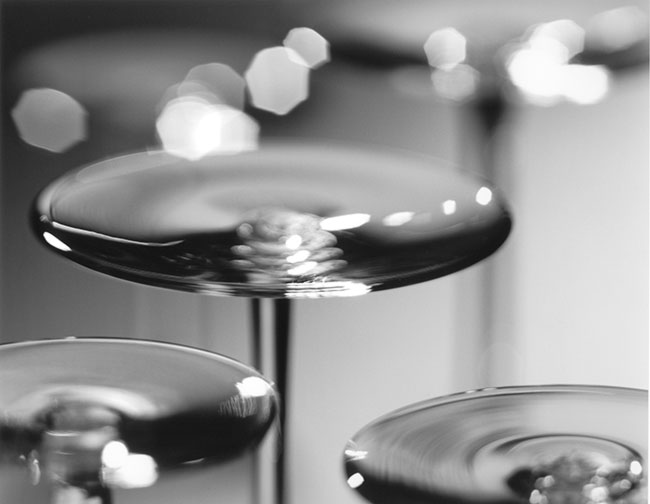 photography by Brian Kosoff