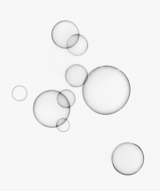 photography by Brian Kosoff