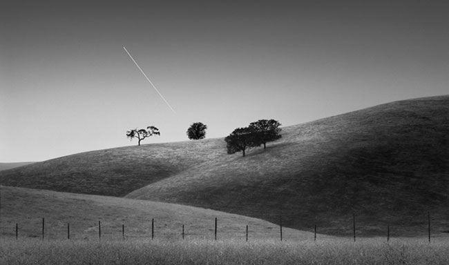 photography by Brian Kosoff