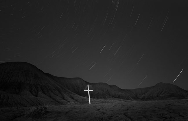 photography by Brian Kosoff