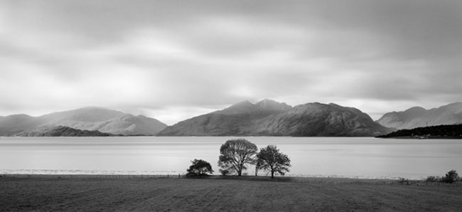 photography by Brian Kosoff