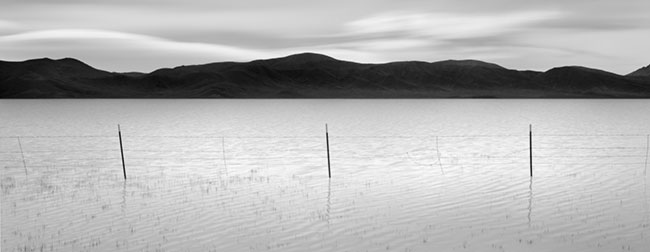 photography by Brian Kosoff