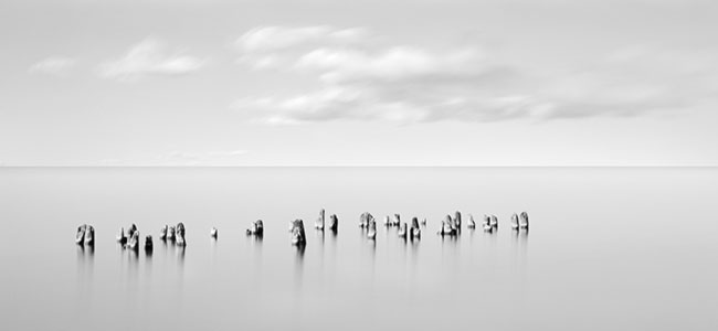 photography by Brian Kosoff