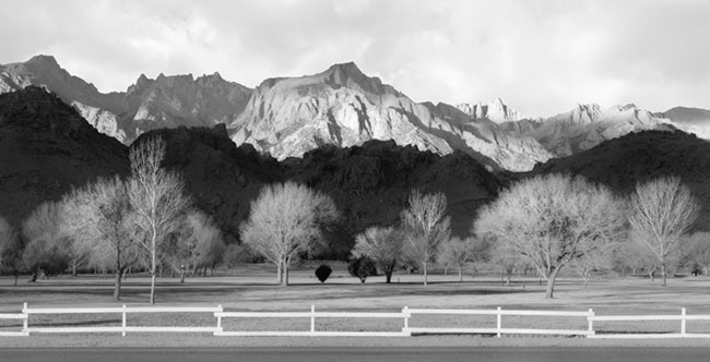 photography by Brian Kosoff
