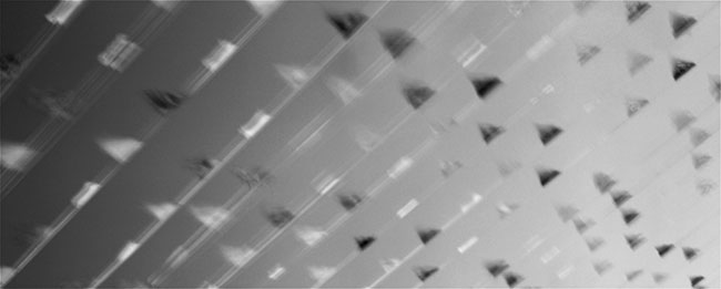 photography by Brian Kosoff