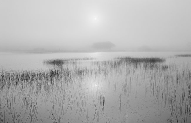 photography by Brian Kosoff