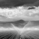 Portfolio 6