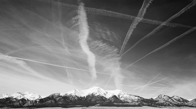 photography by Brian Kosoff