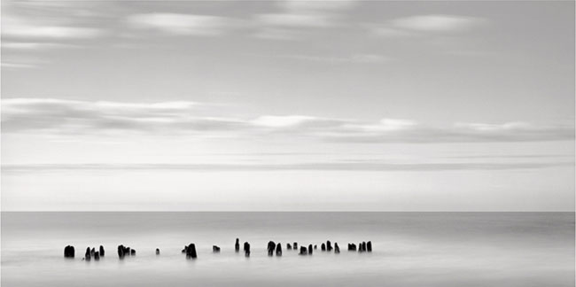 photography by Brian Kosoff