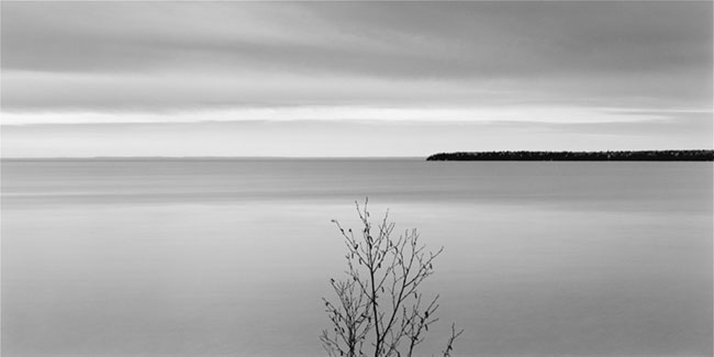 photography by Brian Kosoff
