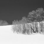 Portfolio 3