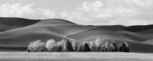 photography by Brian Kosoff
