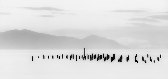 photography by Brian Kosoff