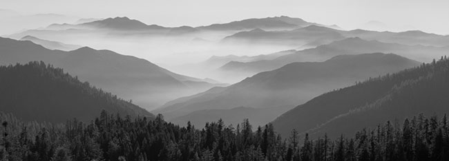 photography by Brian Kosoff