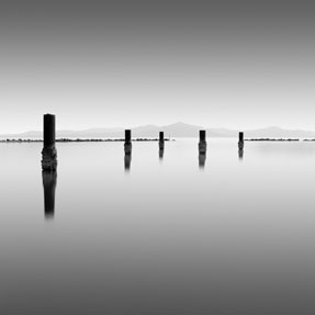 photography by Michael Levin