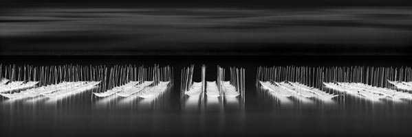 photography by Michael Levin