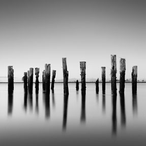 photography by Michael Levin