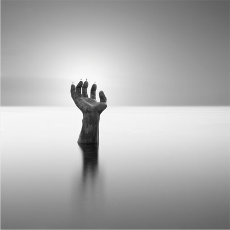 photography by Michael Levin