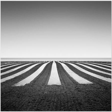 photography by Michael Levin