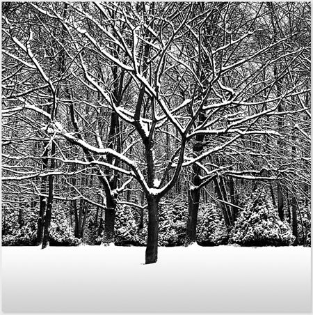 photography by Michael Levin