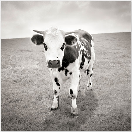 photography by Michael Levin