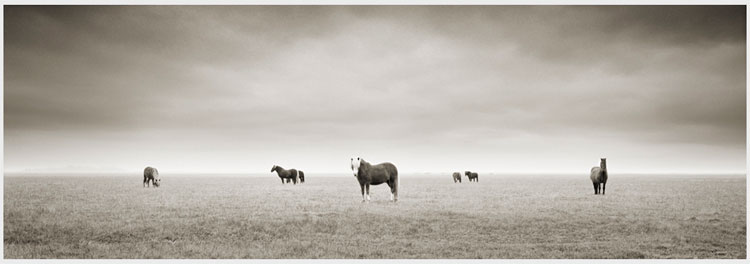 photography by Michael Levin