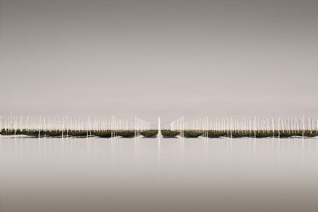 photography by Michael Levin