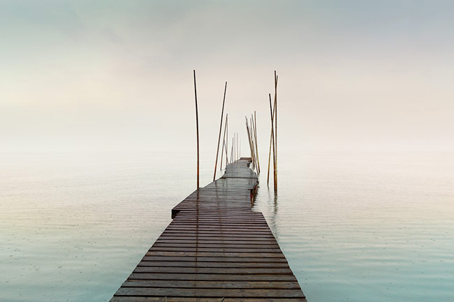 photography by Michael Levin