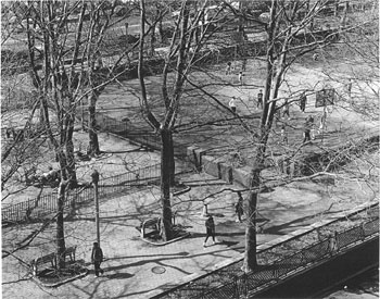 photography by Builder Levy