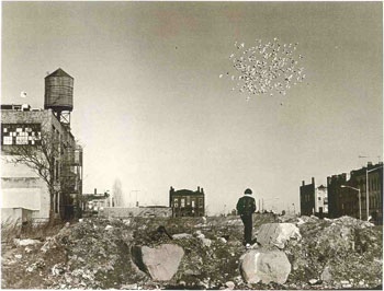 photography by Builder Levy