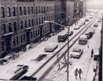 photography by Builder Levy