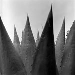 Abstraction