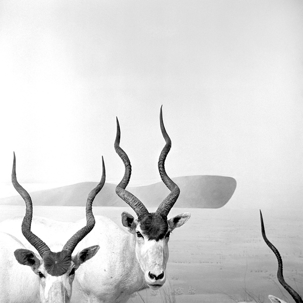 photography by Jenny Lynn