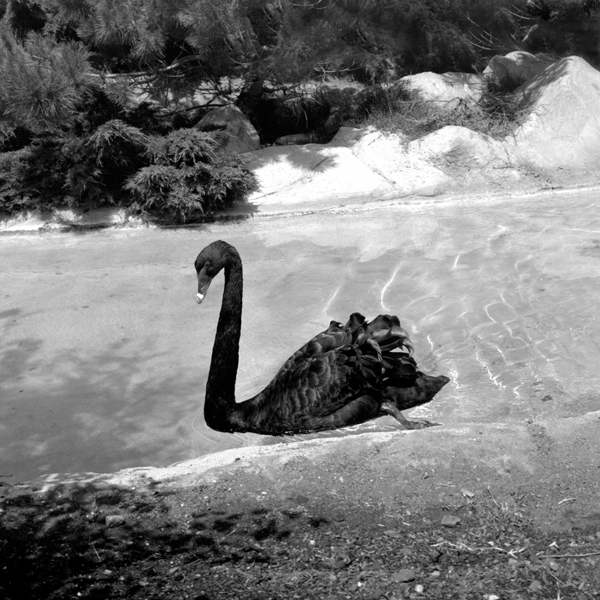 photography by Jenny Lynn