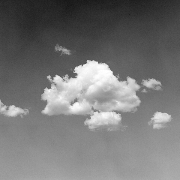 photography by Jenny Lynn