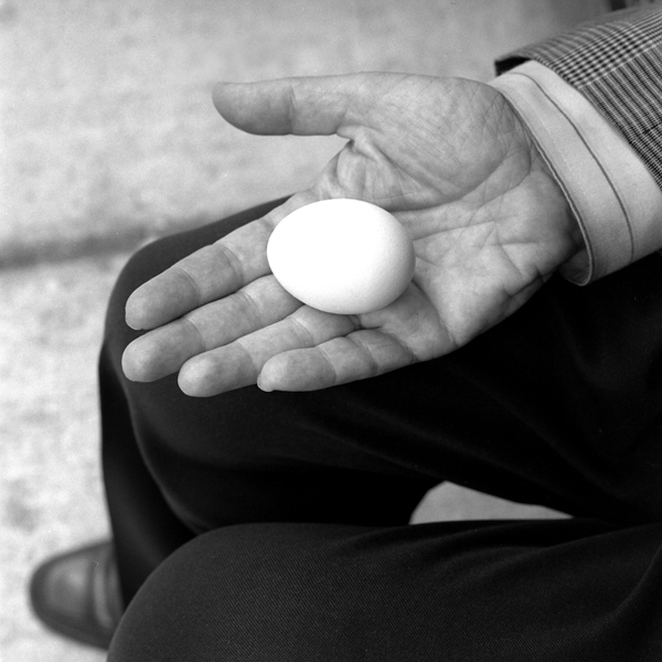 photography by Jenny Lynn