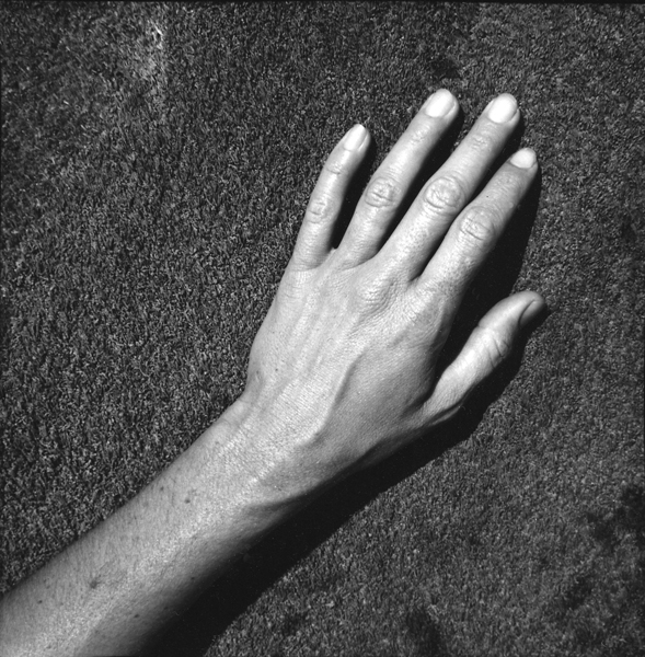 photography by Jenny Lynn