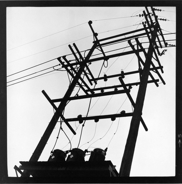 photography by Jenny Lynn