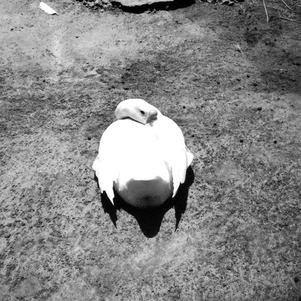 photography by Jenny Lynn