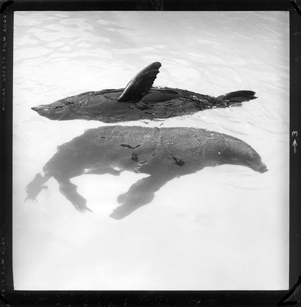 photography by Jenny Lynn