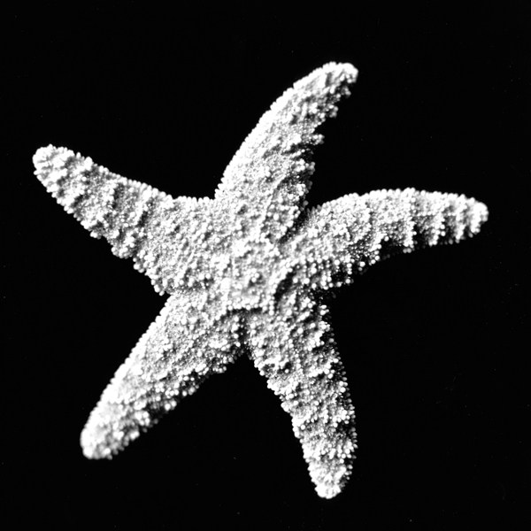 photography by Jenny Lynn