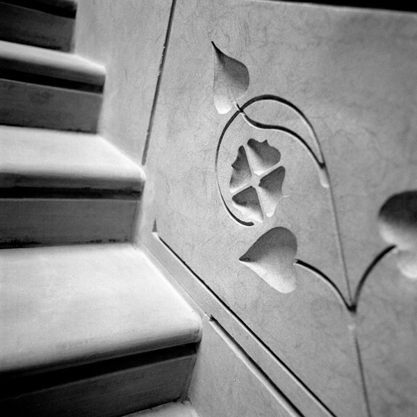 photography by Jenny Lynn