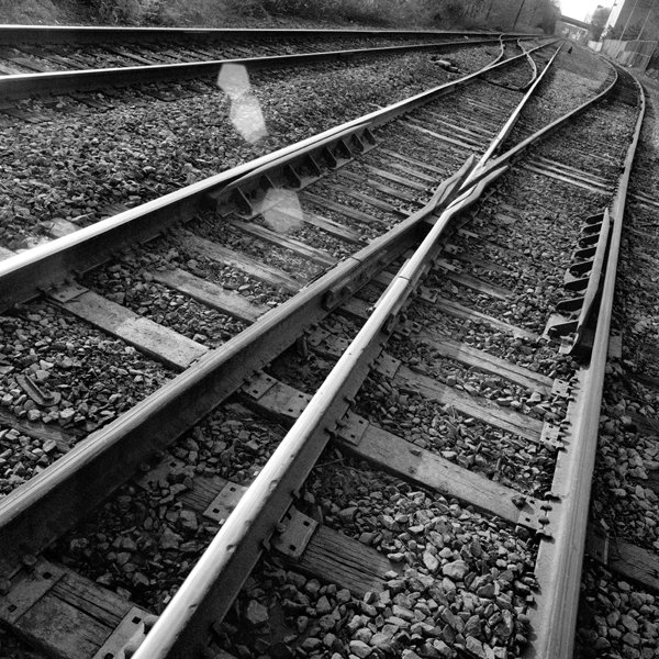 photography by Jenny Lynn