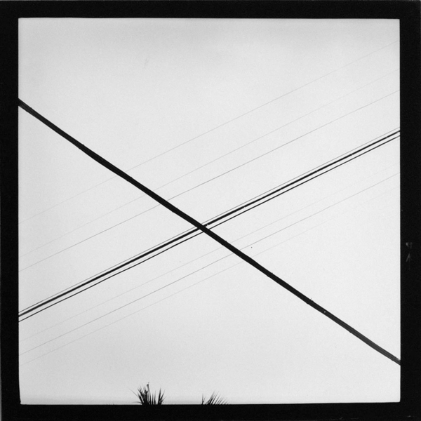 photography by Jenny Lynn